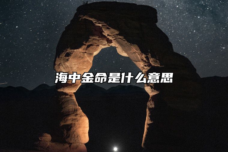 海中金命是什么意思 沙中金命是什么意思