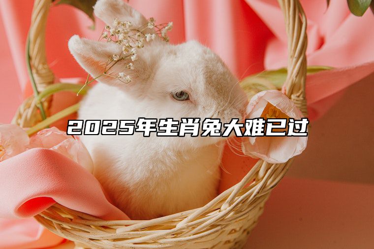 2025年生肖兔大难已过 2025年属兔百年难遇