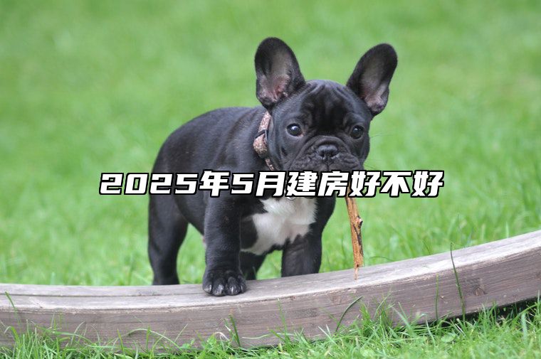 2025年5月建房好不好 今日适合建房吗