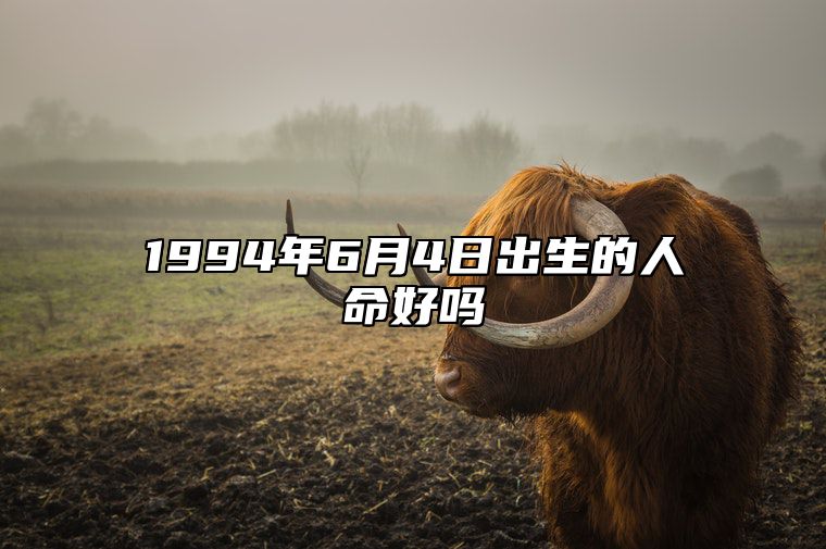 1994年6月4日出生的人命好吗 生辰八字分析五行缺什么