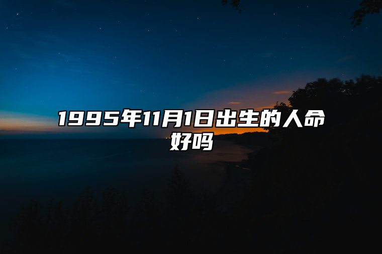 1995年11月1日出生的人命好吗 今日生辰八字查询