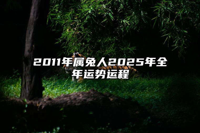 2011年属兔人2025年全年运势运程 2011年属兔2025全年运势