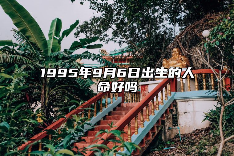 1995年9月6日出生的人命好吗 生辰八字、事业财运解析