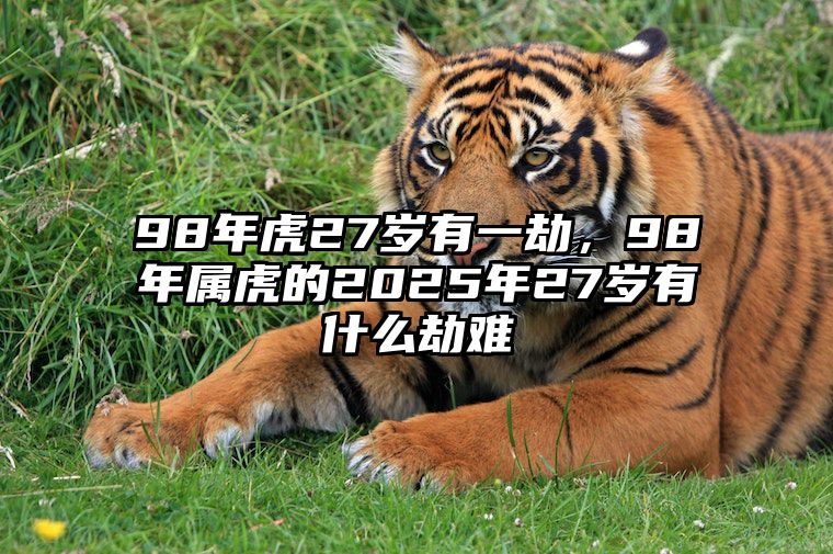 98年虎27岁有一劫，98年属虎的2025年27岁有什么劫难 98年属虎22岁以后的一生命运