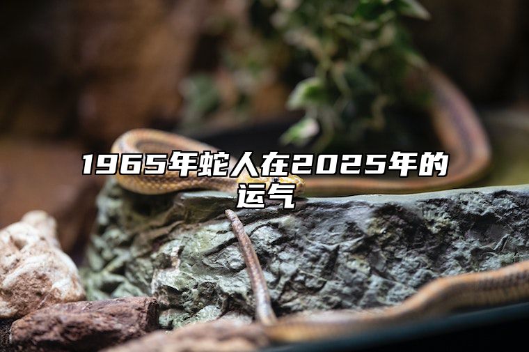 1965年蛇人在2025年的运气 1965年属蛇未来十年运势如何