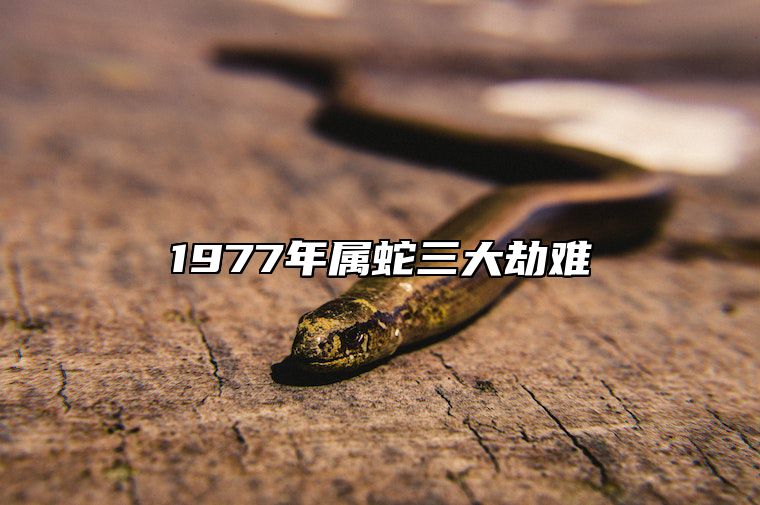 1977年属蛇三大劫难 1977年属蛇三大劫难是什么