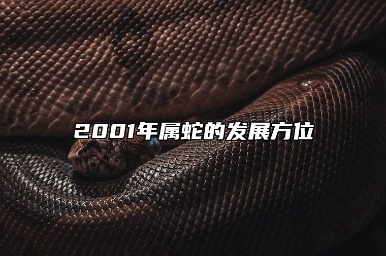 2001年属蛇的发展方位 2001年属蛇的发展方位在哪里