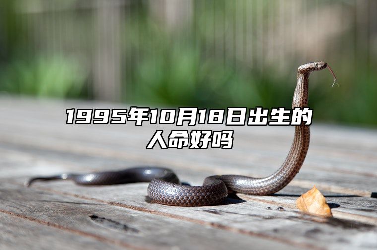 1995年10月18日出生的人命好吗 命运如何五行缺什么