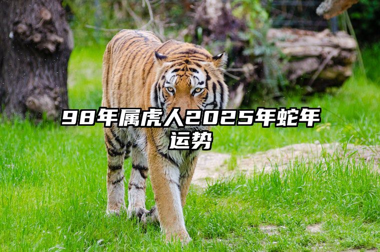 98年属虎人2025年蛇年运势 98年属虎明年运势2021