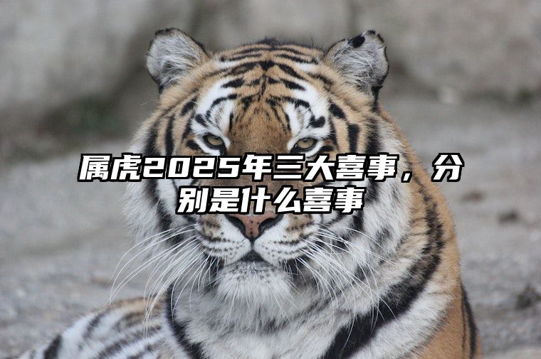 属虎2025年三大喜事，分别是什么喜事 属虎的在2025年的运势好不好呢