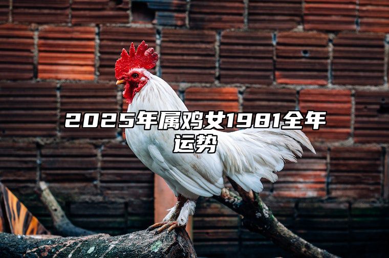 2025年属鸡女1981全年运势 属鸡2025年运势及运程1981年出生