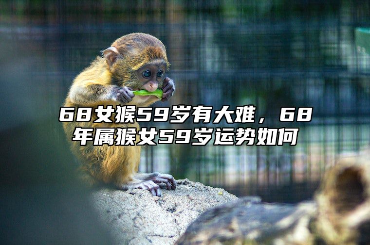 68女猴59岁有大难，68年属猴女59岁运势如何 68年女猴五十岁后的姻缘