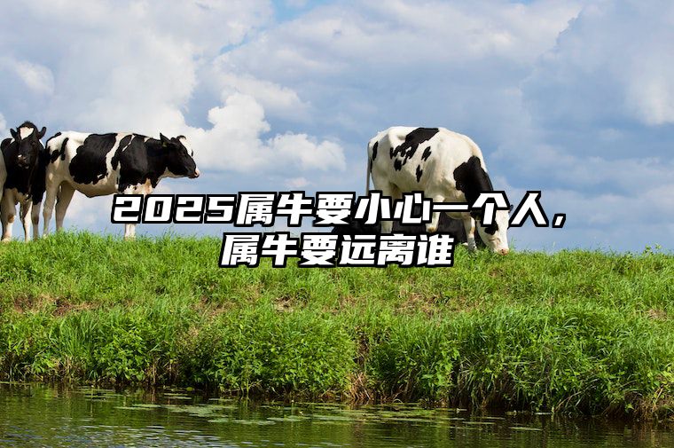 2025属牛要小心一个人，属牛要远离谁 属牛人2025年全年运势详解