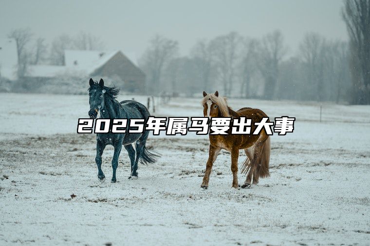 2025年属马要出大事 2025年生肖马