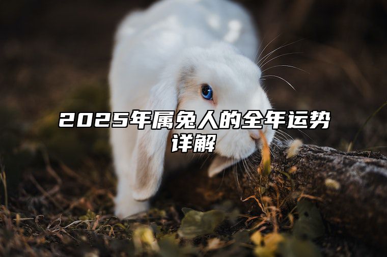 2025年属兔人的全年运势详解 属兔人2024年每月运势