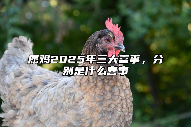 属鸡2025年三大喜事，分别是什么喜事 2025年属鸡的是什么命