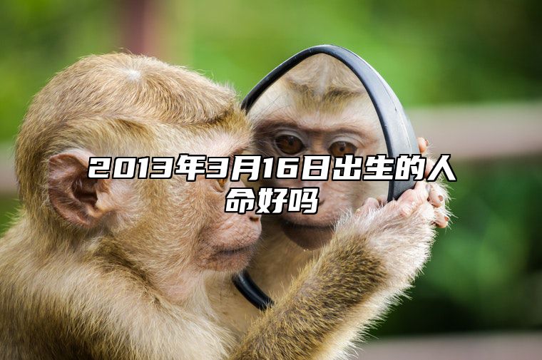 2013年3月16日出生的人命好吗 不同时辰生辰八字