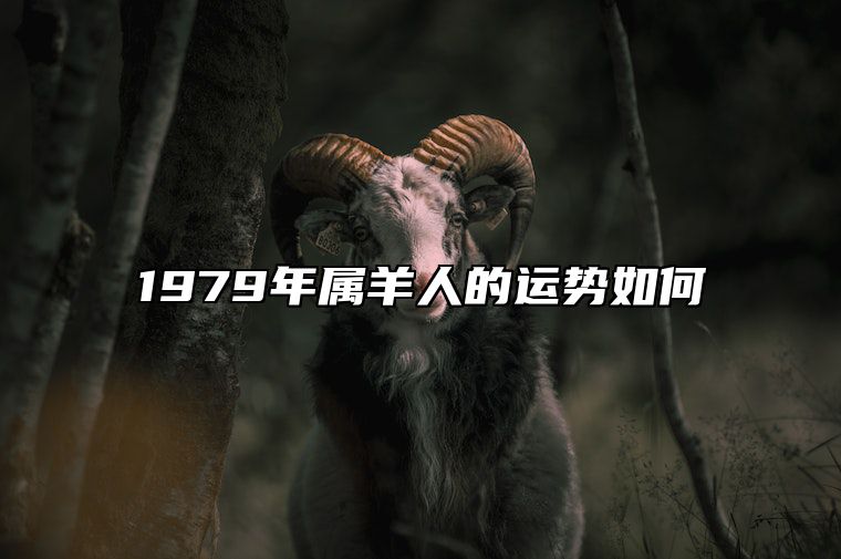 1979年属羊人的运势如何 1979年属羊的人运势怎么样