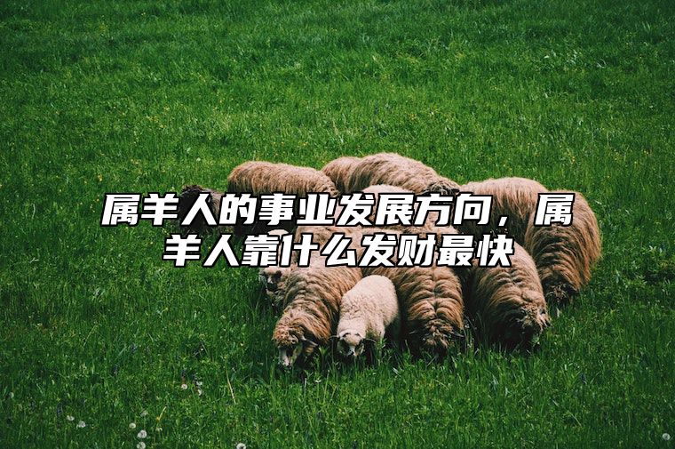 属羊人的事业发展方向，属羊人靠什么发财最快 属羊人的事业与财运