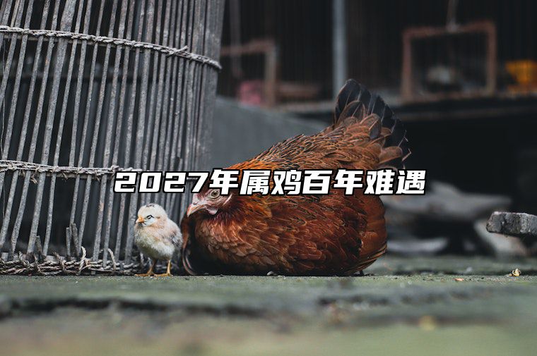 2027年属鸡百年难遇 2027年属鸡的是什么命