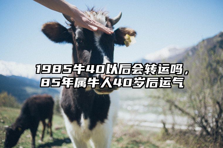 1985牛40以后会转运吗，85年属牛人40岁后运气 