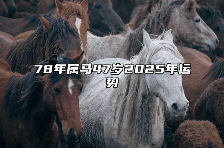 78年属马47岁2025年运势 78年马什么时候能走大运