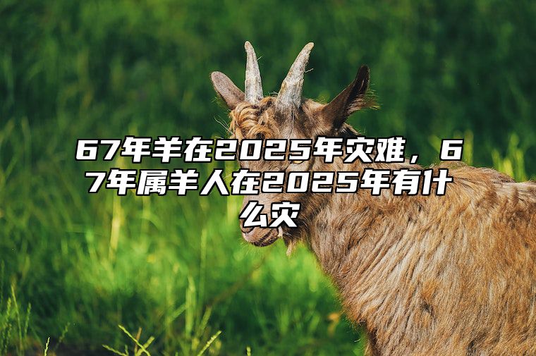 67年羊在2025年灾难，67年属羊人在2025年有什么灾 67年羊未来十年运程