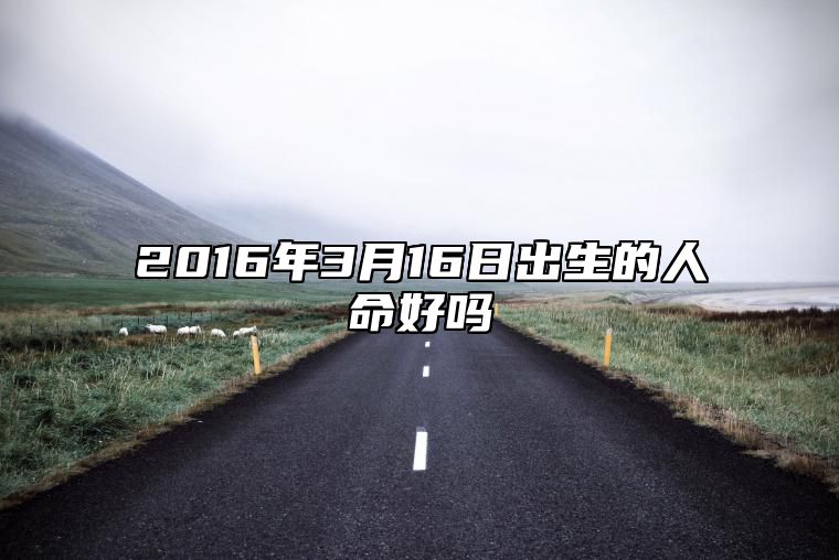 2016年3月16日出生的人命好吗 生辰八字运势查询