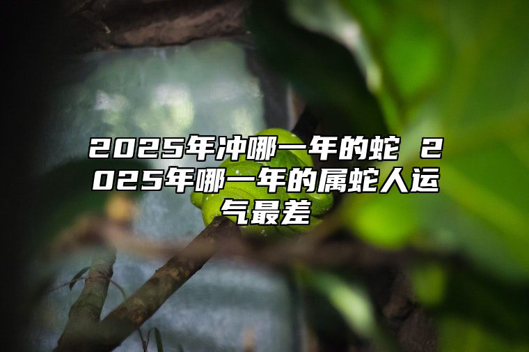 2025年冲哪一年的蛇 2025年哪一年的属蛇人运气最差 2025年年属蛇的是什么命