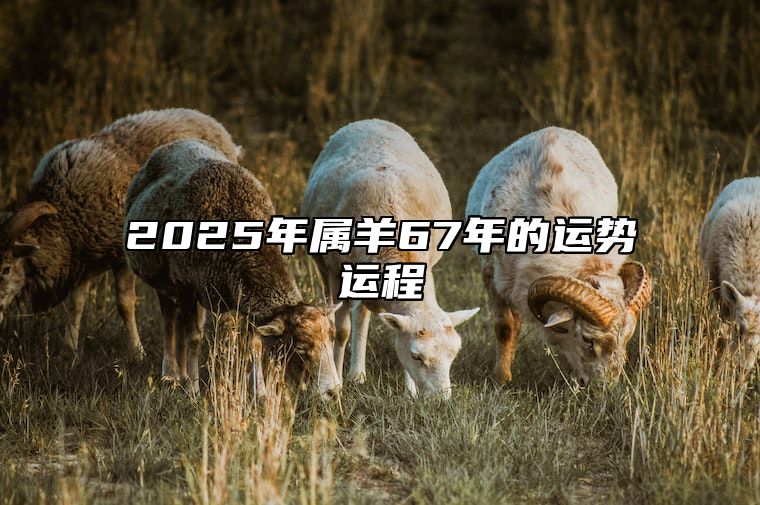 2025年属羊67年的运势运程 属羊人2025年全年运势 1979年羊年每月牌运