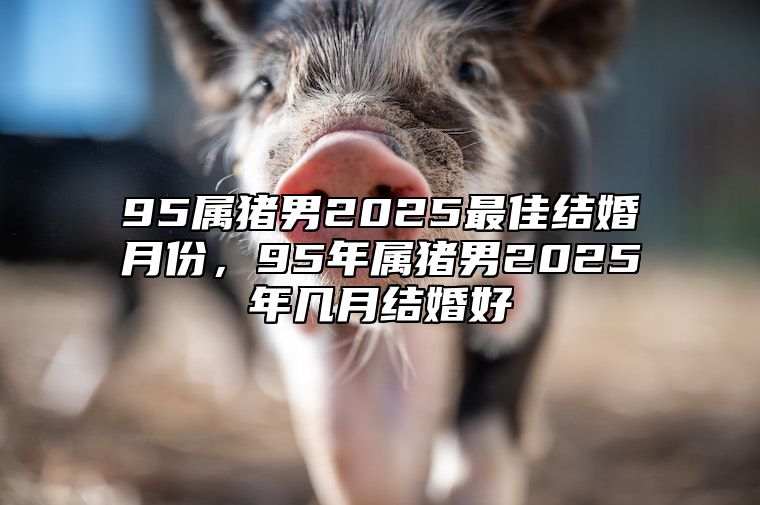 95属猪男2025最佳结婚月份，95年属猪男2025年几月结婚好 95年属猪2022年结婚吉日