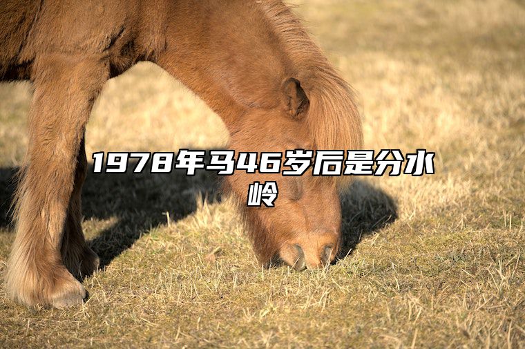 1978年马46岁后是分水岭 属马的46岁大难临头