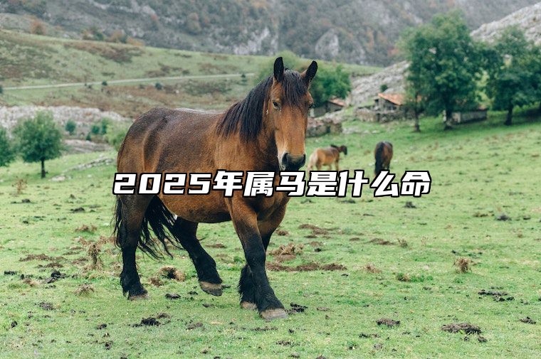 2025年属马是什么命 2025年属马是什么命?