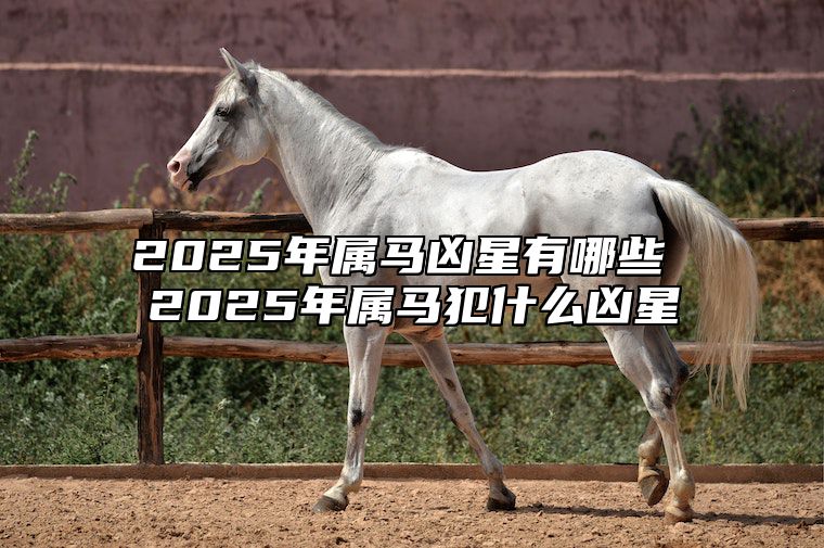 2025年属马凶星有哪些 2025年属马犯什么凶星 2025年生肖马