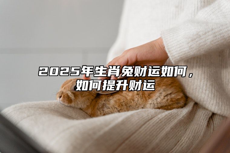 2025年生肖兔财运如何，如何提升财运 2025年生肖兔财运如何,如何提升财运和财运