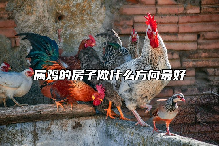 属鸡的房子做什么方向最好 属鸡房子风水