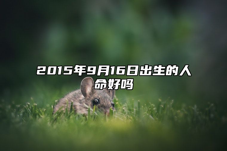 2015年9月16日出生的人命好吗 是什么命