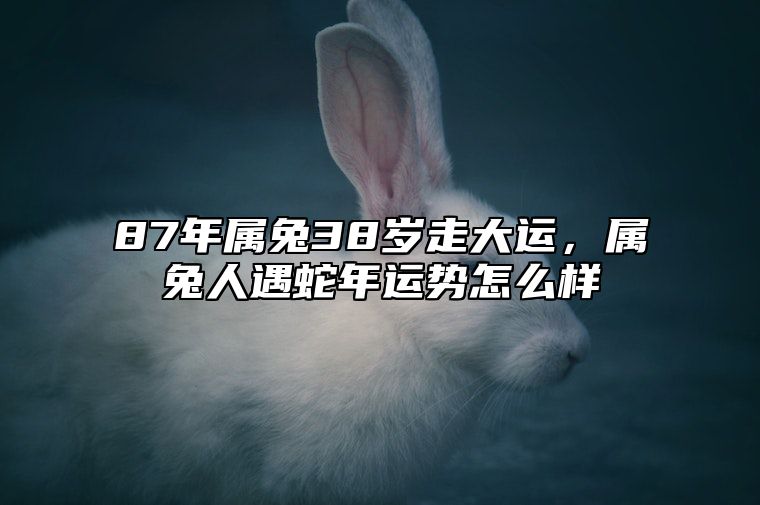 87年属兔38岁走大运，属兔人遇蛇年运势怎么样 87年属兔36岁有一灾