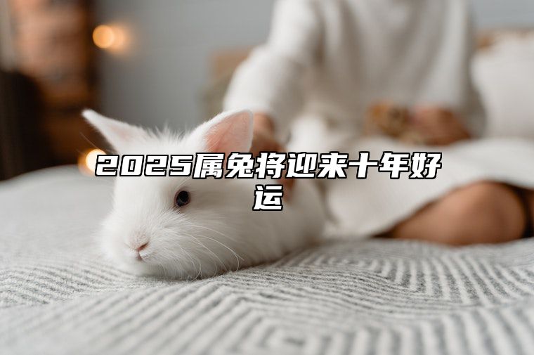 2025属兔将迎来十年好运 87年兔什么时候转大运