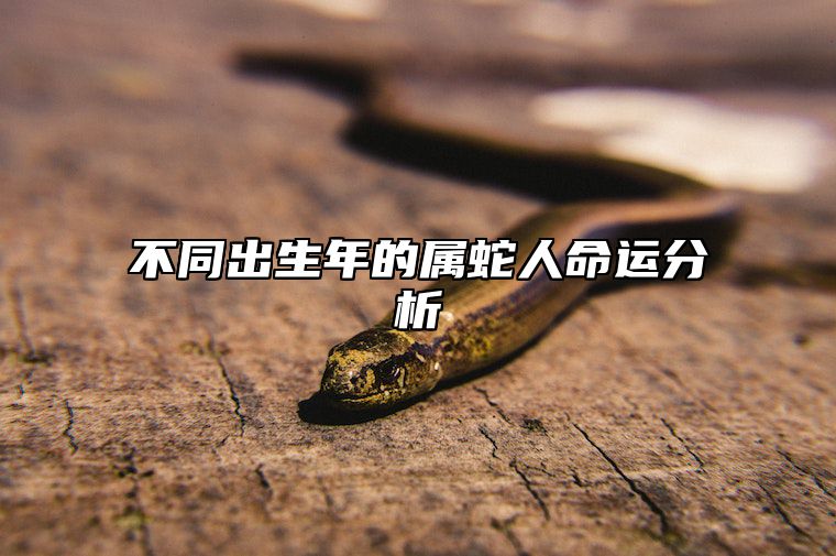 不同出生年的属蛇人命运分析 不同出生年的属蛇人命运分析图片