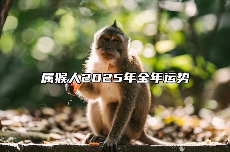 属猴人2025年全年运势 属猴人2025年全年运势及每月运程