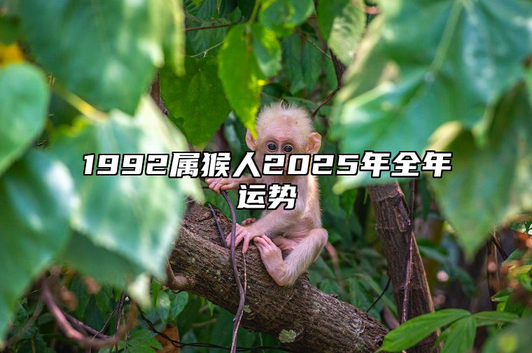 1992属猴人2025年全年运势 1992属猴2025年全年运势运程