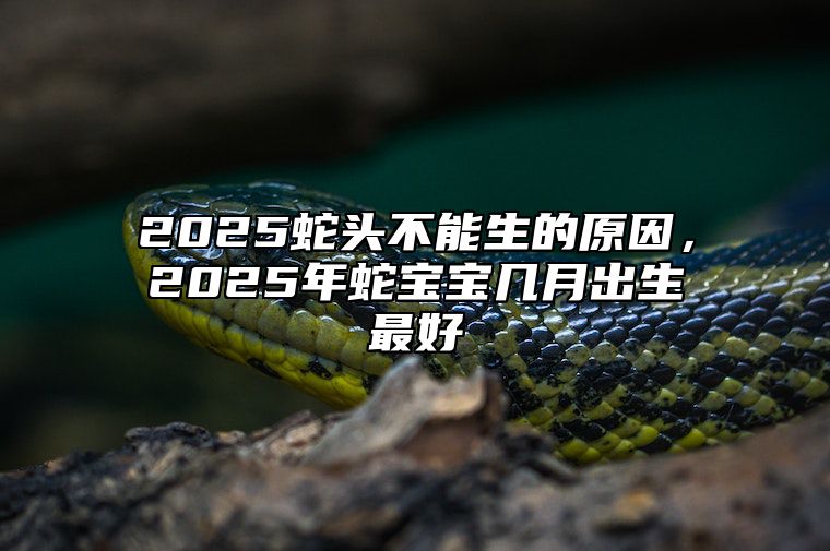 2025蛇头不能生的原因，2025年蛇宝宝几月出生最好 2025年出生蛇是几月命好