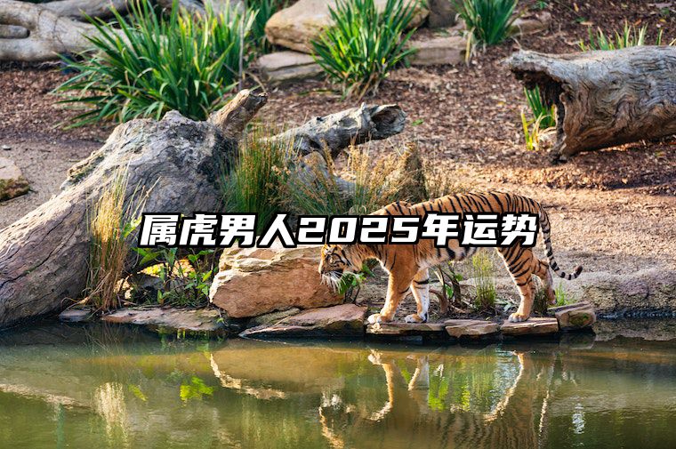 属虎男人2025年运势 属虎2024年运势及运程男性