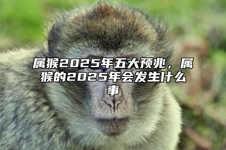 属猴2025年五大预兆，属猴的2025年会发生什么事 属猴的2025年多少岁