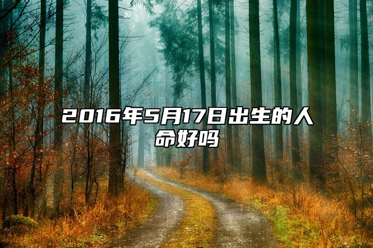 2016年5月17日出生的人命好吗 今日不同时辰生辰八字解析