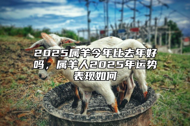 2025属羊今年比去年好吗，属羊人2025年运势表现如何 2025年属羊人的命运