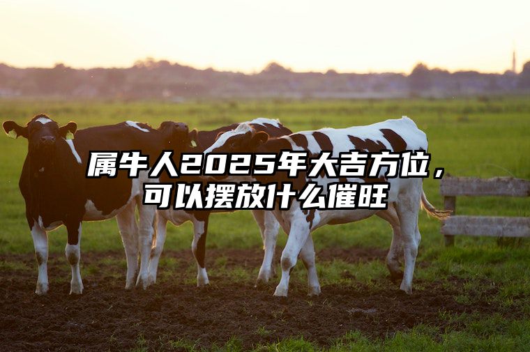 属牛人2025年大吉方位，可以摆放什么催旺 属牛的人在2025年怎么样