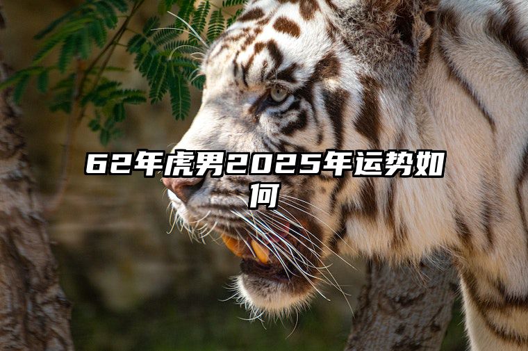 62年虎男2025年运势如何 62年属虎男未来十年运势