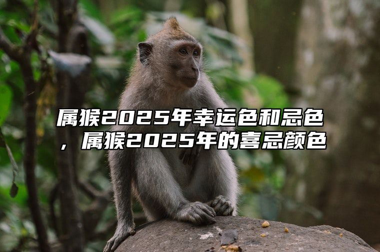 属猴2025年幸运色和忌色，属猴2025年的喜忌颜色 2025年生肖猴